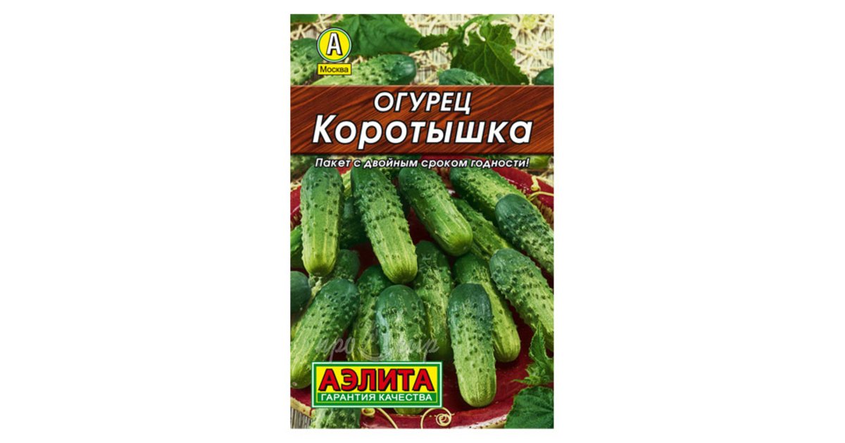 Огурец кустовой фото и описание